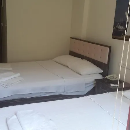 Erciyes Отель *