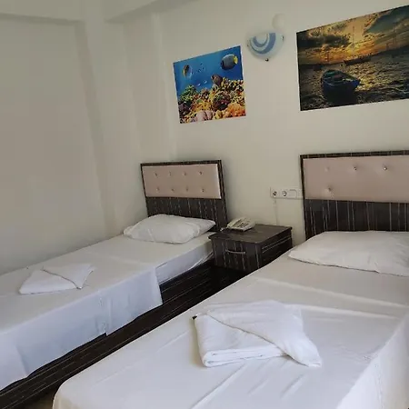 Erciyes Отель *